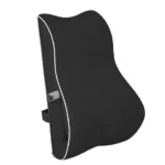 Vistara Memory Foam Lumbar Support Cushion